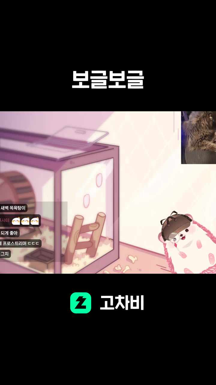 보글보글