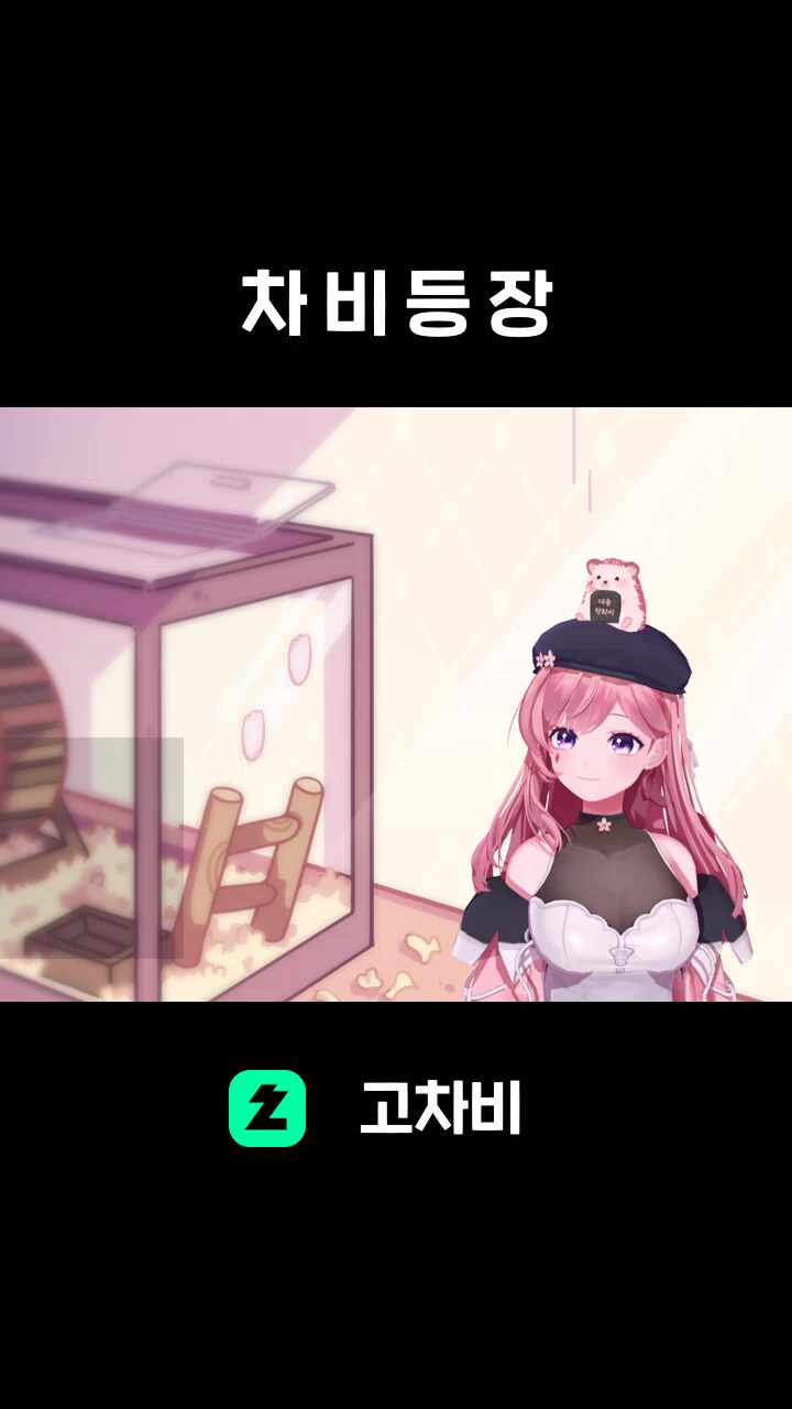 차 비 등 장