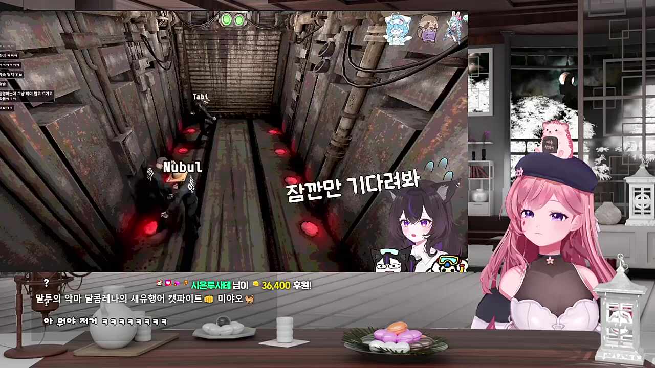 캣파이트 미야오