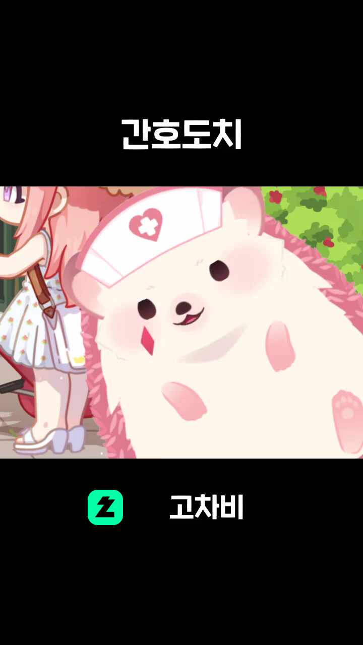 간호도치