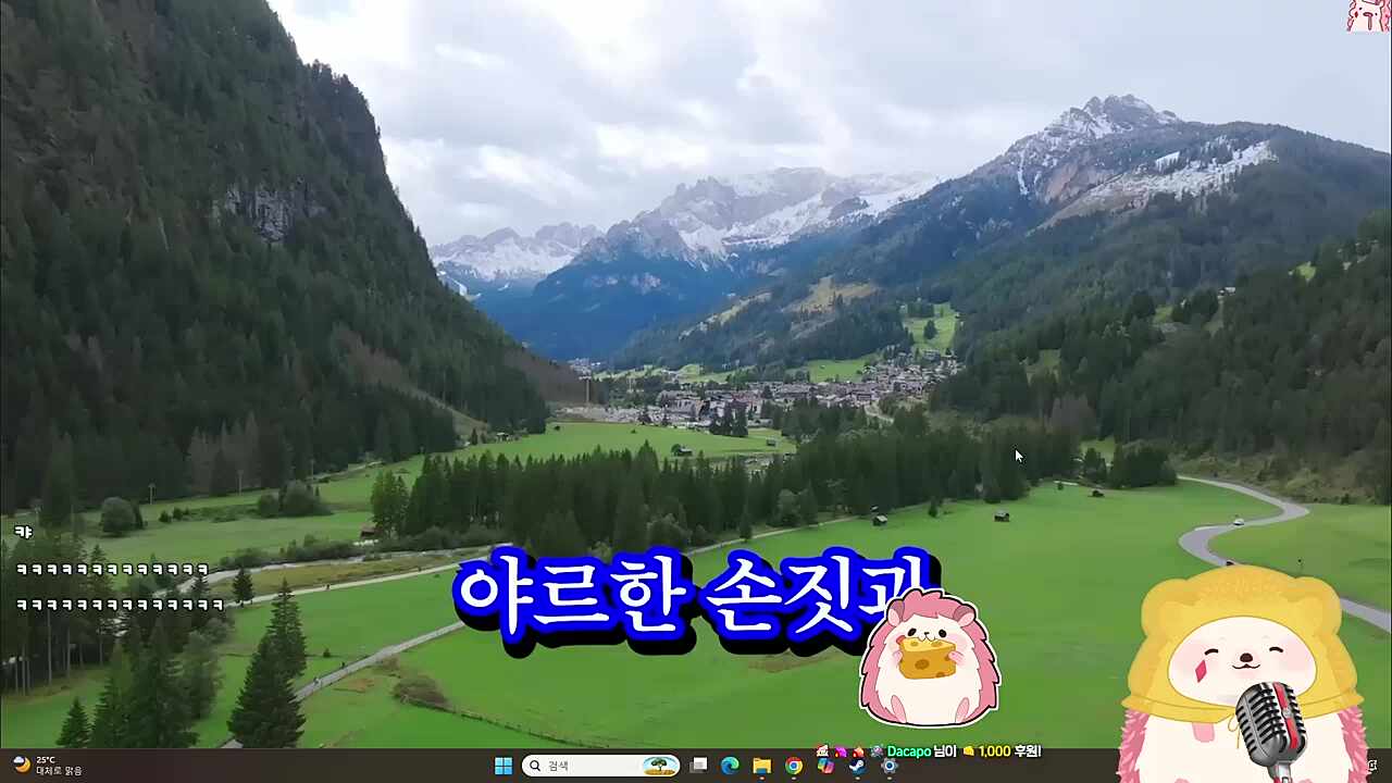 내수용) 야르송