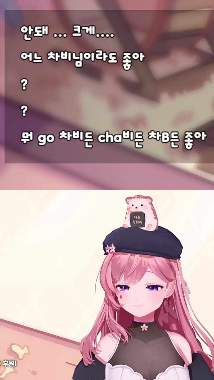 이게 무슨 대화야 (차비님 시점)