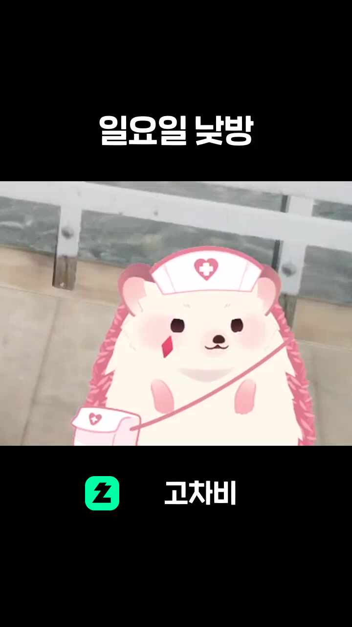 일요일 낮방