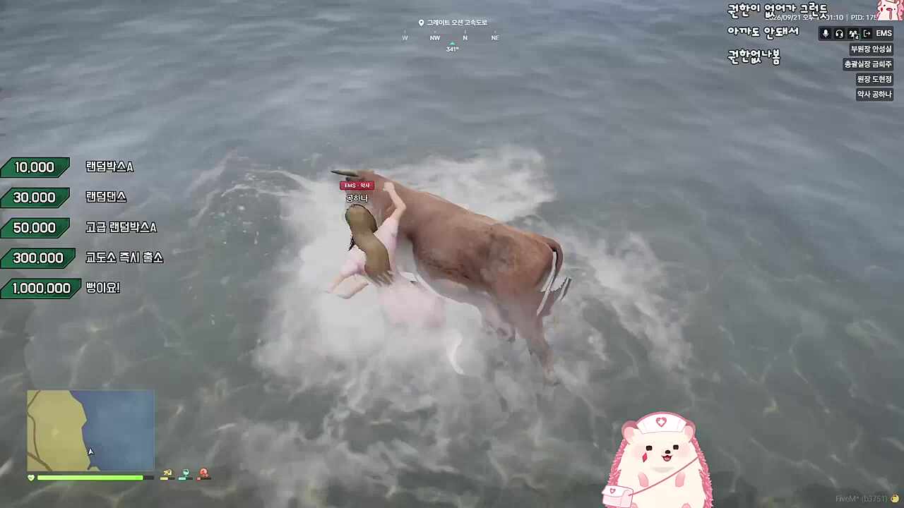 아니 소가..! 소가...!