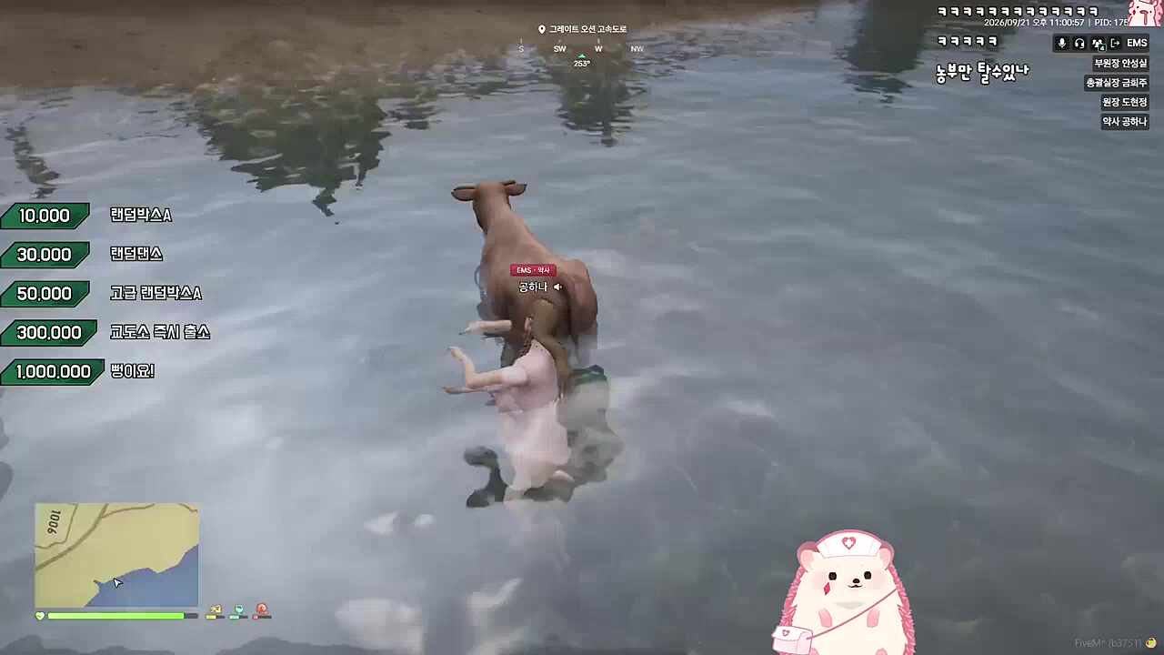 동물학대범 공하나 우우우